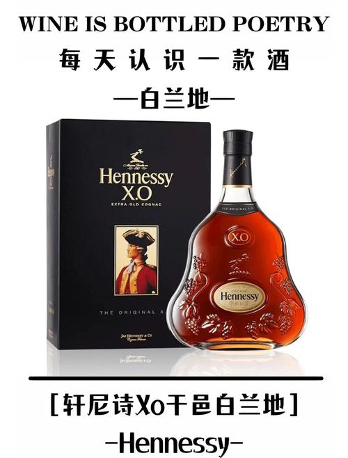 xo网站游戏截图
