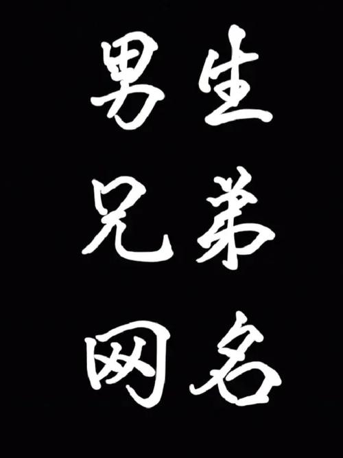 兄弟网名缩略图
