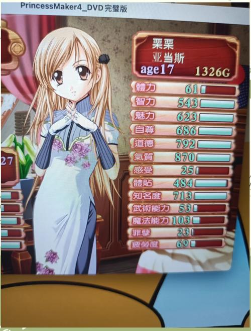 美少女梦工厂4游戏缩略图