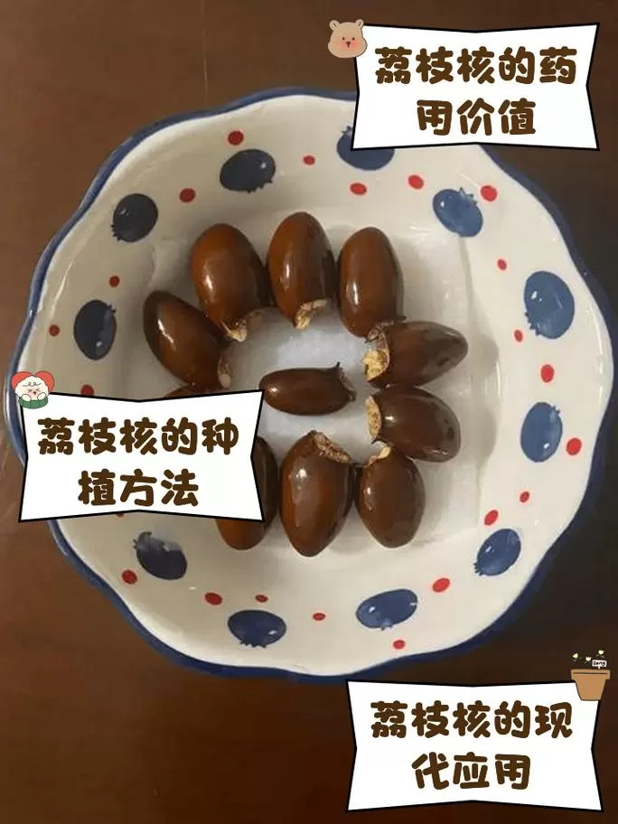 荔枝核吃了会中毒吗缩略图