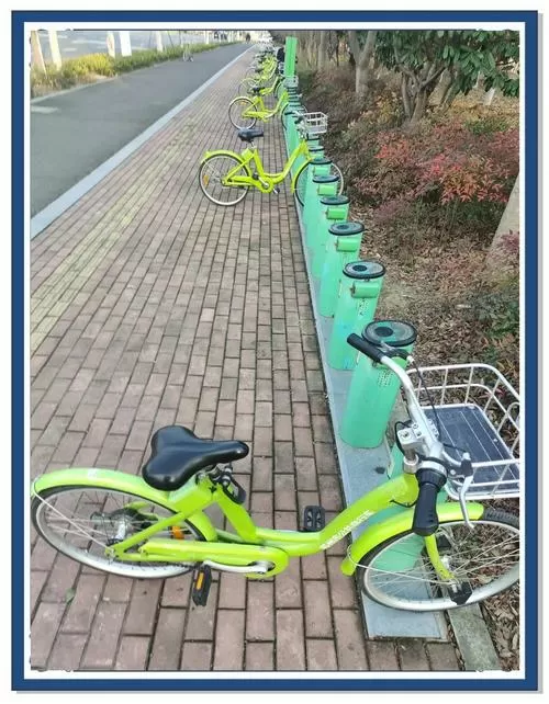 苏州共享自行车怎么收费游戏截图