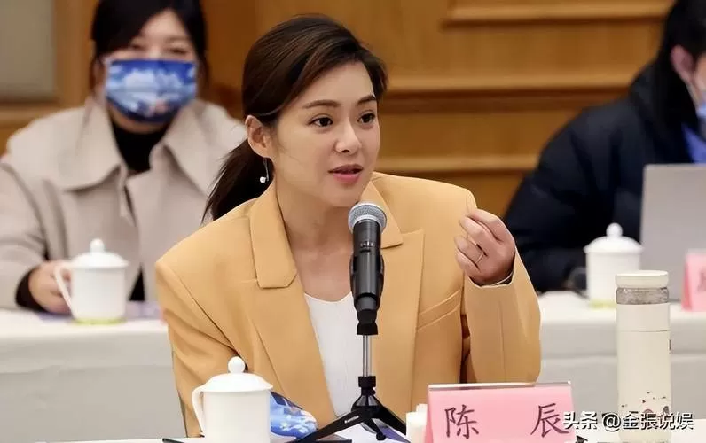 陈辰和小辰的关系缩略图