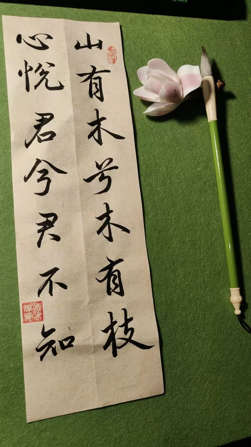 心悦君兮君不知缩略图