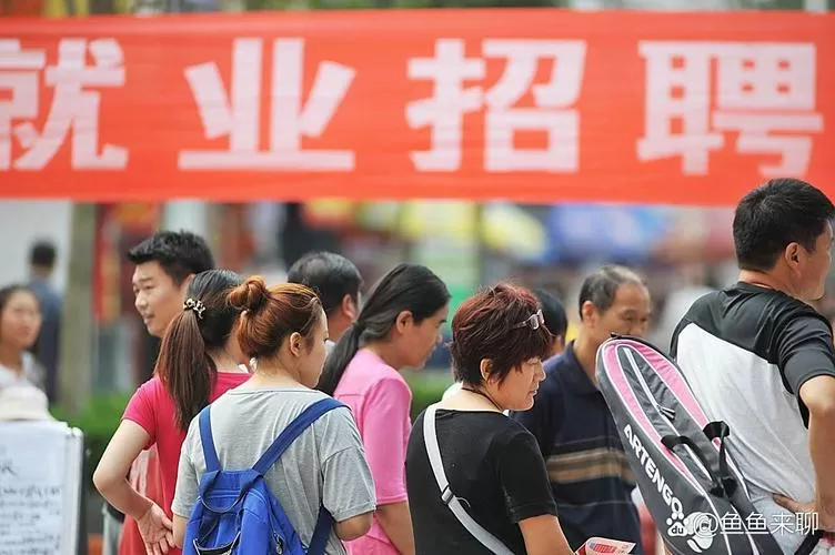 淮滨人才网缩略图